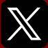 X (Twitter)